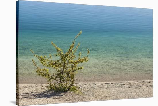 Sweden, Gotland Island, Labro, Bla Lagunen, Blue Lagoon, natural swimming area-Walter Bibikow-Stretched Canvas