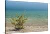 Sweden, Gotland Island, Labro, Bla Lagunen, Blue Lagoon, natural swimming area-Walter Bibikow-Stretched Canvas