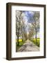 Sweden, Gotland Island, Romakloster, country road with yellow springtime flowers-Walter Bibikow-Framed Photographic Print