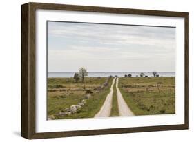 Sweden, Gotland Island, Sundre, country road, southern Gotland-Walter Bibikow-Framed Photographic Print