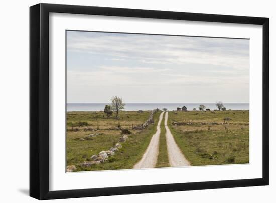 Sweden, Gotland Island, Sundre, country road, southern Gotland-Walter Bibikow-Framed Photographic Print