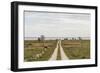 Sweden, Gotland Island, Sundre, country road, southern Gotland-Walter Bibikow-Framed Photographic Print