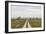 Sweden, Gotland Island, Sundre, country road, southern Gotland-Walter Bibikow-Framed Photographic Print