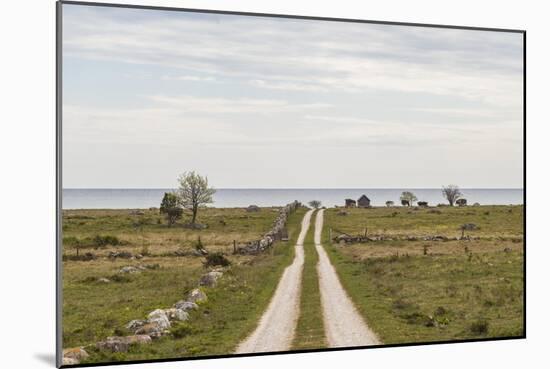 Sweden, Gotland Island, Sundre, country road, southern Gotland-Walter Bibikow-Mounted Photographic Print