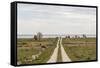 Sweden, Gotland Island, Sundre, country road, southern Gotland-Walter Bibikow-Framed Stretched Canvas