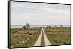 Sweden, Gotland Island, Sundre, country road, southern Gotland-Walter Bibikow-Framed Stretched Canvas