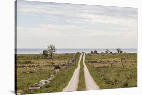 Sweden, Gotland Island, Sundre, country road, southern Gotland-Walter Bibikow-Stretched Canvas