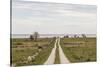 Sweden, Gotland Island, Sundre, country road, southern Gotland-Walter Bibikow-Stretched Canvas