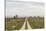 Sweden, Gotland Island, Sundre, country road, southern Gotland-Walter Bibikow-Stretched Canvas