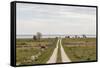 Sweden, Gotland Island, Sundre, country road, southern Gotland-Walter Bibikow-Framed Stretched Canvas