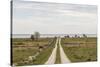 Sweden, Gotland Island, Sundre, country road, southern Gotland-Walter Bibikow-Stretched Canvas