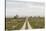 Sweden, Gotland Island, Sundre, country road, southern Gotland-Walter Bibikow-Stretched Canvas