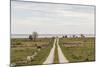 Sweden, Gotland Island, Sundre, country road, southern Gotland-Walter Bibikow-Mounted Photographic Print