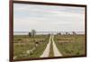 Sweden, Gotland Island, Sundre, country road, southern Gotland-Walter Bibikow-Framed Photographic Print