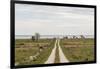 Sweden, Gotland Island, Sundre, country road, southern Gotland-Walter Bibikow-Framed Photographic Print