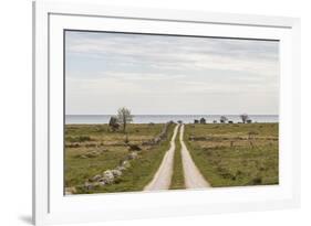 Sweden, Gotland Island, Sundre, country road, southern Gotland-Walter Bibikow-Framed Photographic Print