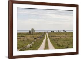 Sweden, Gotland Island, Sundre, country road, southern Gotland-Walter Bibikow-Framed Photographic Print