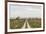 Sweden, Gotland Island, Sundre, country road, southern Gotland-Walter Bibikow-Framed Photographic Print