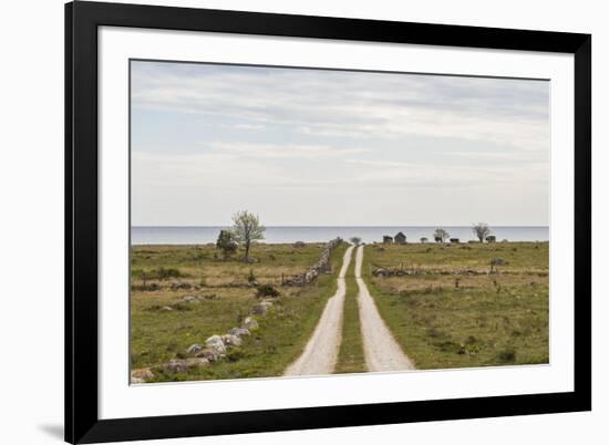 Sweden, Gotland Island, Sundre, country road, southern Gotland-Walter Bibikow-Framed Photographic Print