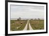 Sweden, Gotland Island, Sundre, country road, southern Gotland-Walter Bibikow-Framed Photographic Print
