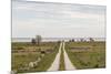 Sweden, Gotland Island, Sundre, country road, southern Gotland-Walter Bibikow-Mounted Photographic Print