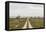 Sweden, Gotland Island, Sundre, country road, southern Gotland-Walter Bibikow-Framed Stretched Canvas