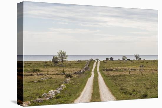 Sweden, Gotland Island, Sundre, country road, southern Gotland-Walter Bibikow-Stretched Canvas