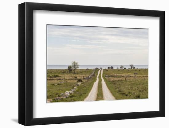 Sweden, Gotland Island, Sundre, country road, southern Gotland-Walter Bibikow-Framed Photographic Print