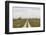 Sweden, Gotland Island, Sundre, country road, southern Gotland-Walter Bibikow-Framed Photographic Print