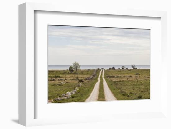 Sweden, Gotland Island, Sundre, country road, southern Gotland-Walter Bibikow-Framed Photographic Print