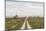 Sweden, Gotland Island, Sundre, country road, southern Gotland-Walter Bibikow-Mounted Photographic Print