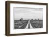 Sweden, Gotland Island, Sundre, country road, southern Gotland-Walter Bibikow-Framed Photographic Print