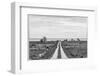 Sweden, Gotland Island, Sundre, country road, southern Gotland-Walter Bibikow-Framed Photographic Print
