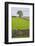Sweden, Gotland Island, Sundre, stone wall, southern Gotland-Walter Bibikow-Framed Photographic Print