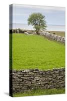 Sweden, Gotland Island, Sundre, stone wall, southern Gotland-Walter Bibikow-Stretched Canvas