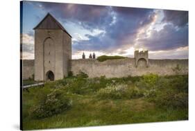 Sweden, Gotland Island, Visby, 12th century city wall, city wall in Osterport Tower-Walter Bibikow-Stretched Canvas