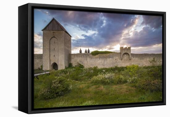 Sweden, Gotland Island, Visby, 12th century city wall, city wall in Osterport Tower-Walter Bibikow-Framed Stretched Canvas