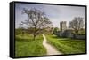 Sweden, Gotland Island, Visby, 12th century city wall, most complete medieval city wall in Europe-Walter Bibikow-Framed Stretched Canvas