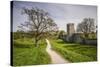 Sweden, Gotland Island, Visby, 12th century city wall, most complete medieval city wall in Europe-Walter Bibikow-Stretched Canvas