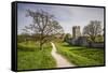 Sweden, Gotland Island, Visby, 12th century city wall, most complete medieval city wall in Europe-Walter Bibikow-Framed Stretched Canvas