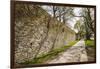 Sweden, Gotland Island, Visby, 12th century city wall, most complete medieval city wall in Europe-Walter Bibikow-Framed Photographic Print