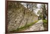 Sweden, Gotland Island, Visby, 12th century city wall, most complete medieval city wall in Europe-Walter Bibikow-Framed Photographic Print