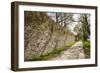 Sweden, Gotland Island, Visby, 12th century city wall, most complete medieval city wall in Europe-Walter Bibikow-Framed Photographic Print