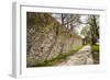 Sweden, Gotland Island, Visby, 12th century city wall, most complete medieval city wall in Europe-Walter Bibikow-Framed Photographic Print