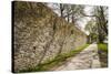 Sweden, Gotland Island, Visby, 12th century city wall, most complete medieval city wall in Europe-Walter Bibikow-Stretched Canvas