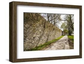 Sweden, Gotland Island, Visby, 12th century city wall, most complete medieval city wall in Europe-Walter Bibikow-Framed Photographic Print