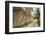 Sweden, Gotland Island, Visby, 12th century city wall, most complete medieval city wall in Europe-Walter Bibikow-Framed Photographic Print