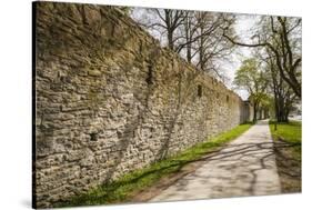 Sweden, Gotland Island, Visby, 12th century city wall, most complete medieval city wall in Europe-Walter Bibikow-Stretched Canvas