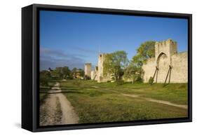 Sweden, Gotland Island, Visby, 12th century city wall, most complete medieval city wall in Europe-Walter Bibikow-Framed Stretched Canvas