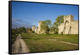 Sweden, Gotland Island, Visby, 12th century city wall, most complete medieval city wall in Europe-Walter Bibikow-Framed Stretched Canvas
